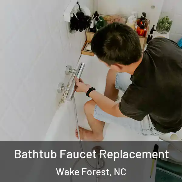  Bathtub Faucet Replacement Wake Forest, NC
