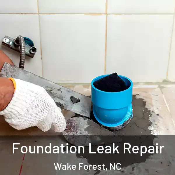  Foundation Leak Repair Wake Forest, NC