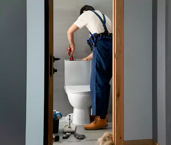 Professional Plumbers for Toilet Bowl Replacement in Wake Forest, NC: Schedule Affordable Toilet Replacement Services With Us