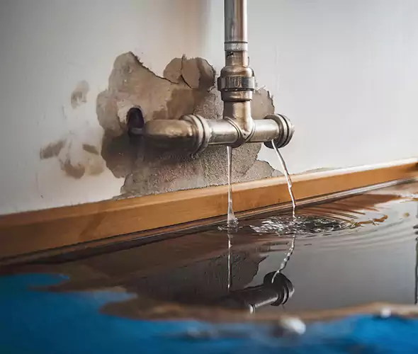 Professional Water Damage Restoration Experts in Wake Forest, NC — Fast, Reliable & Certified