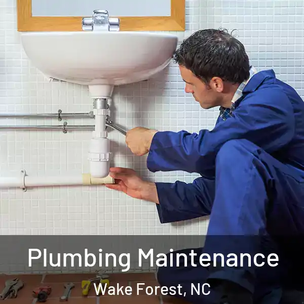  Plumbing Maintenance Wake Forest, NC