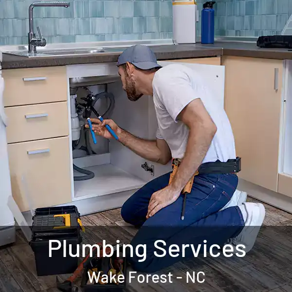  Plumbing Services Wake Forest - NC