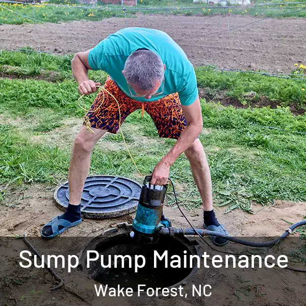  Sump Pump Maintenance Wake Forest, NC