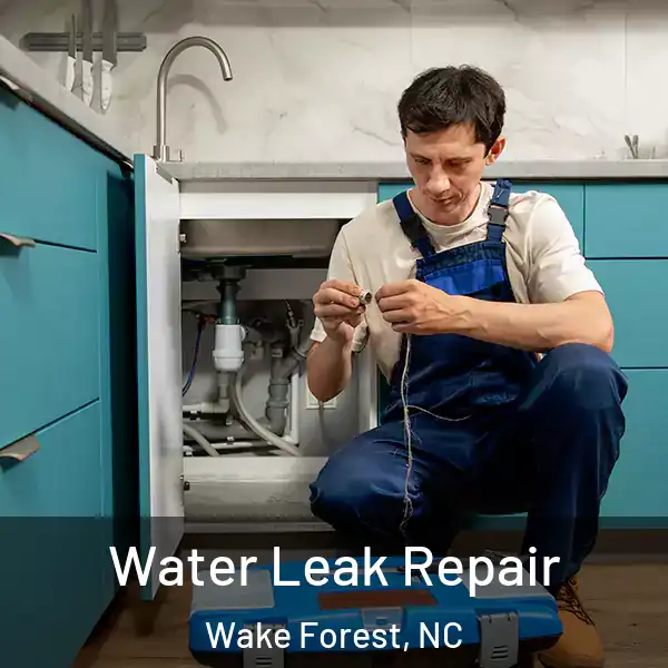  Water Leak Repair Wake Forest, NC